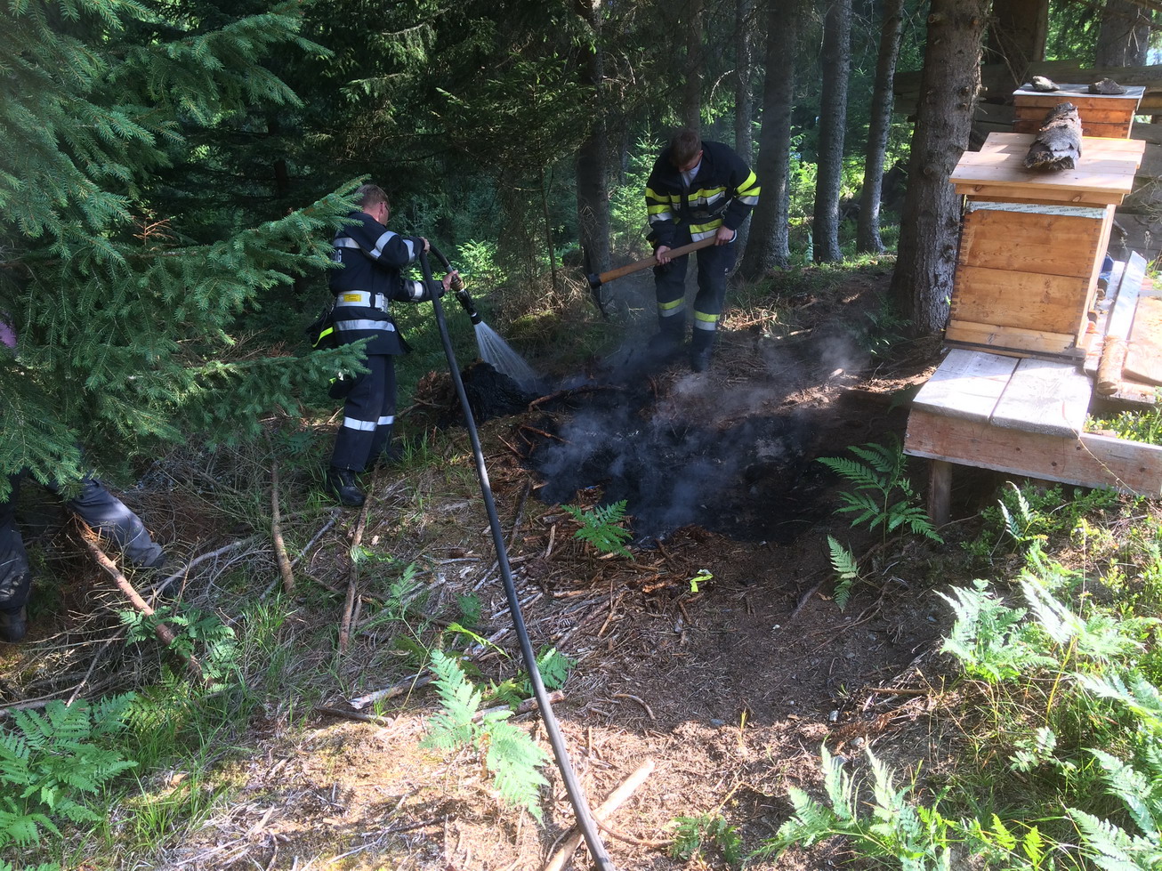 Waldbrand-Steinbauer