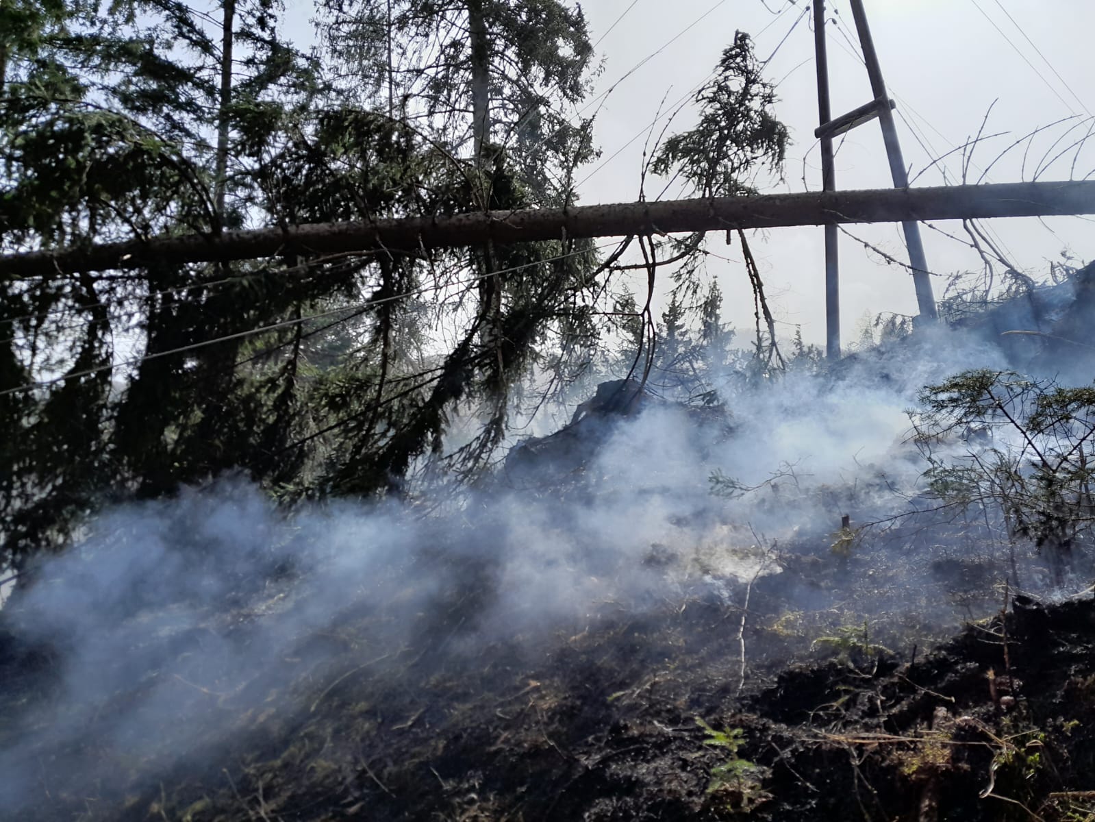 Waldbrand Michaelerberg