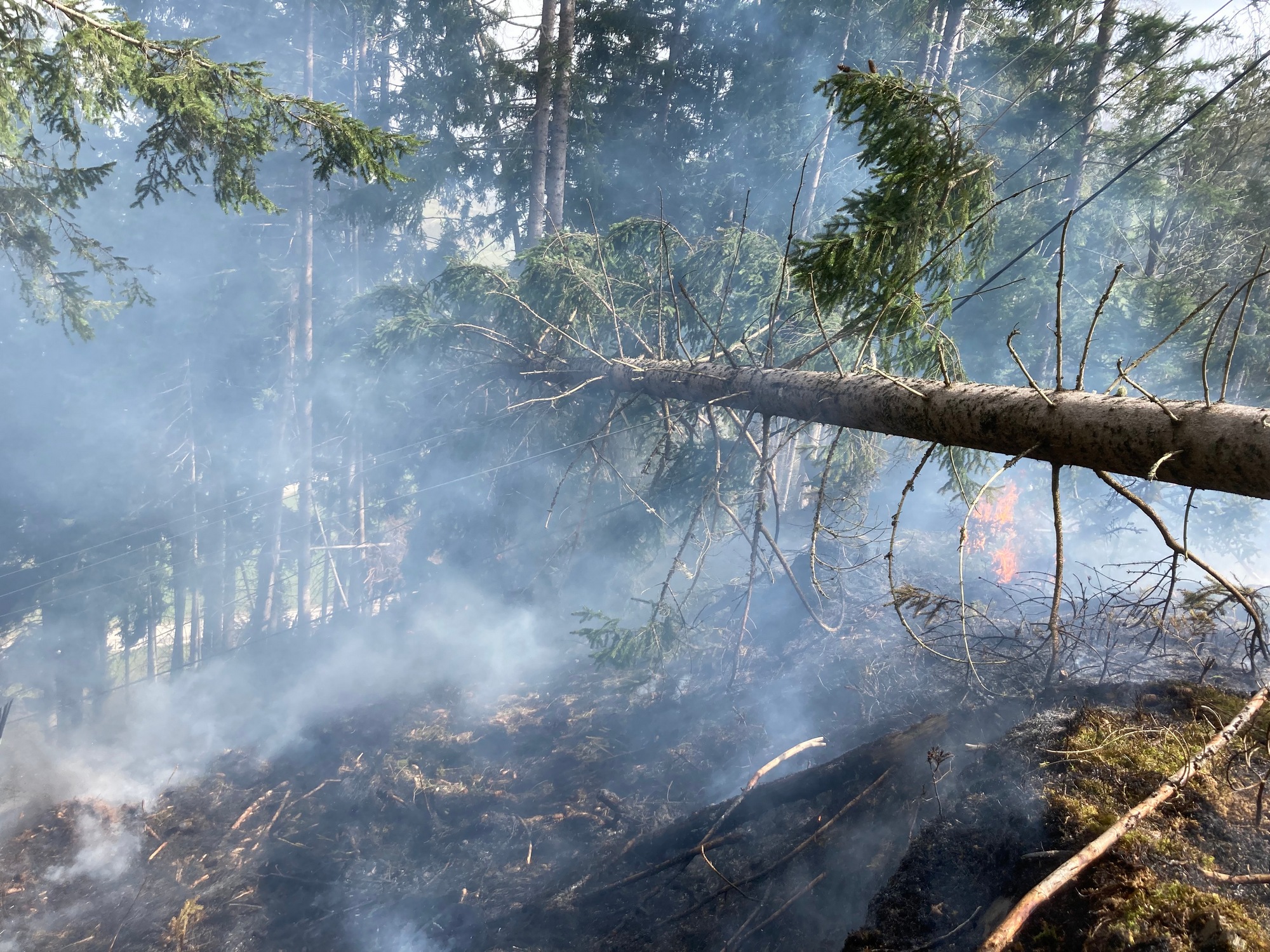 Waldbrand Michaelerberg