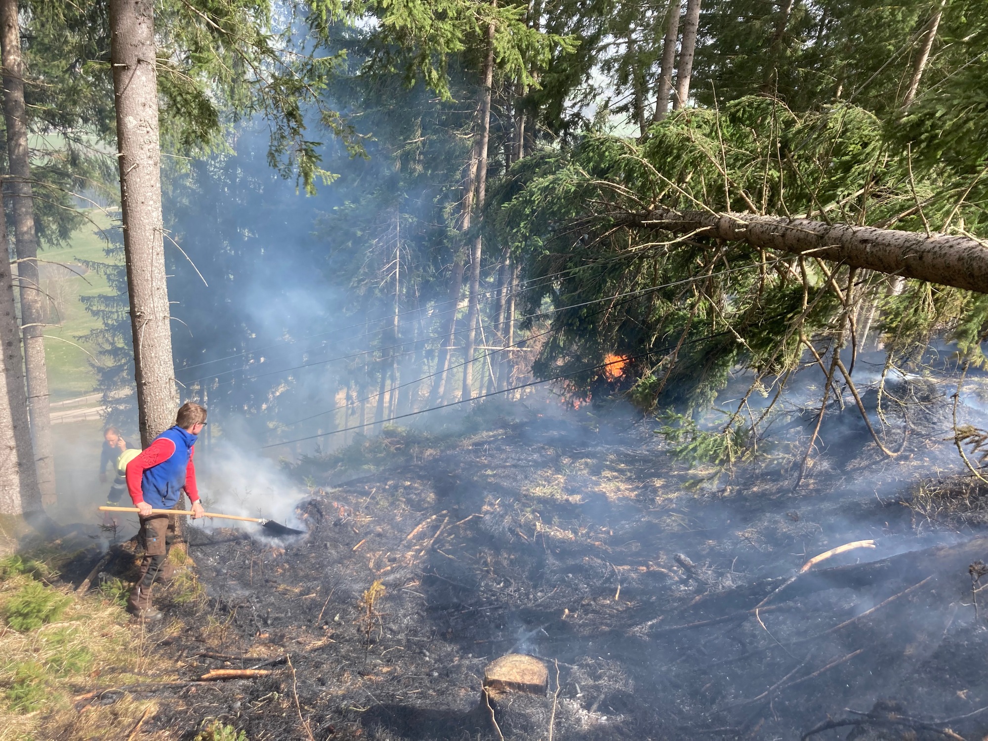 Waldbrand Michaelerberg