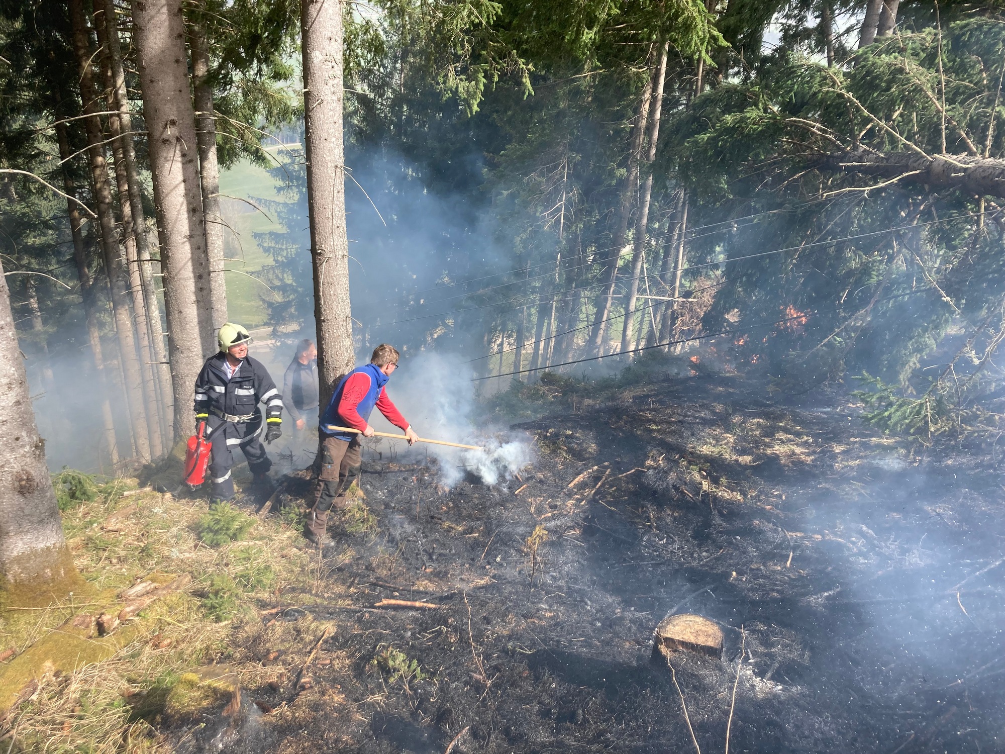 Waldbrand Michaelerberg