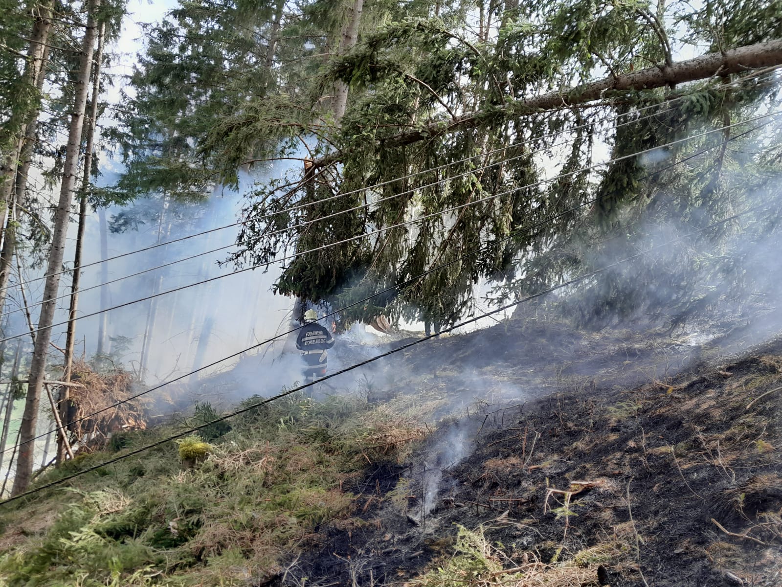 Waldbrand Michaelerberg