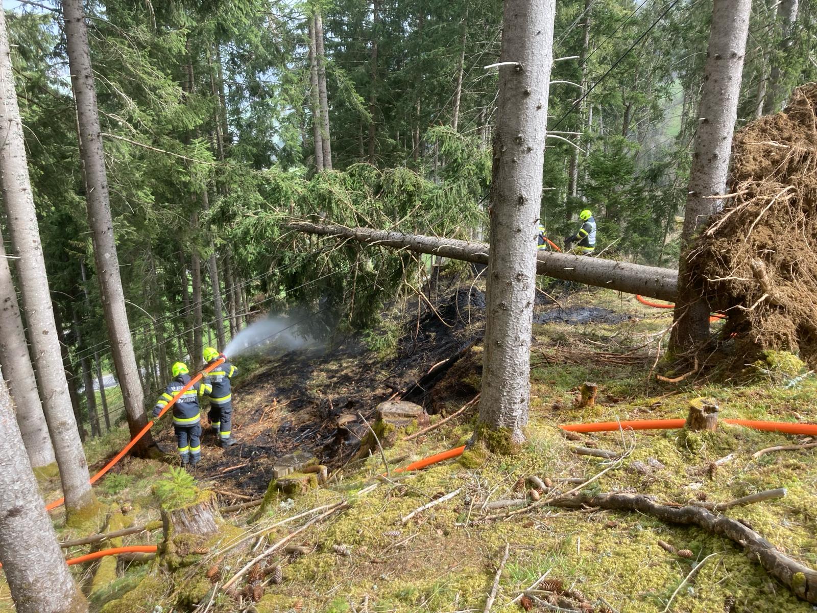 Waldbrand Michaelerberg