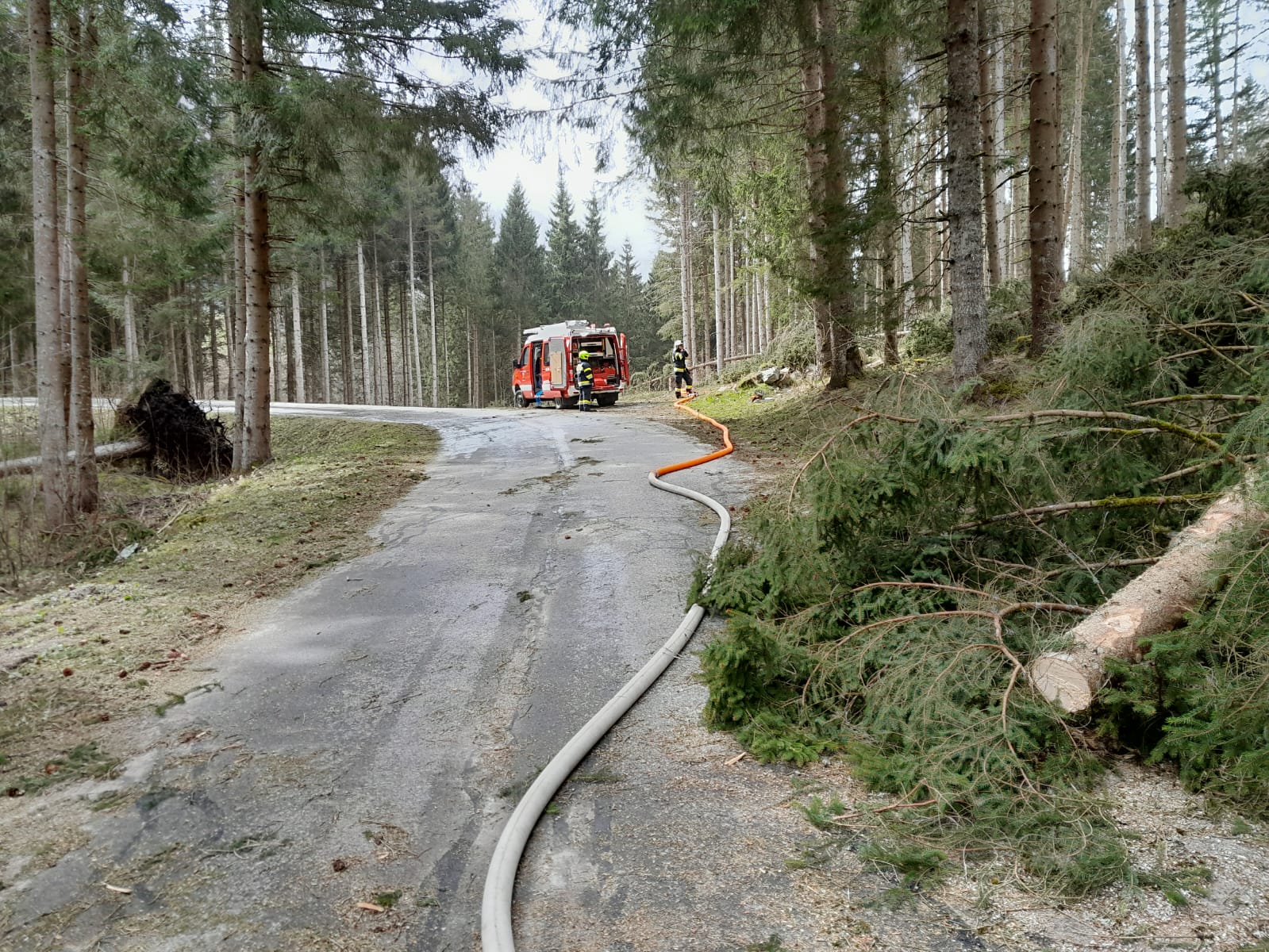 Waldbrand Michaelerberg